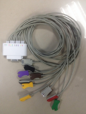 ST Segment ECG Recorder