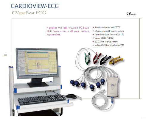 Cyfrowa EKG 12 kanałowa maszyna EKG Automatyczna analiza monitora dla systemu Windows
